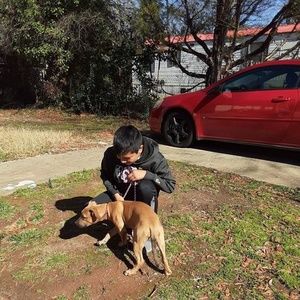 Meet your Posher, Flora